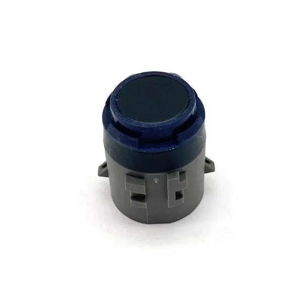  252500101D Tesla Motors